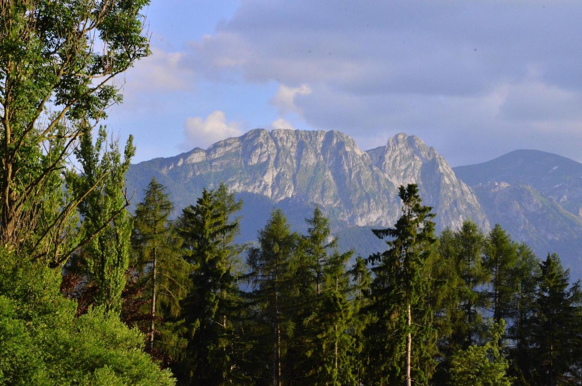 Chata Walczakow -Blue Cave Cottage Zakopane Exterior photo